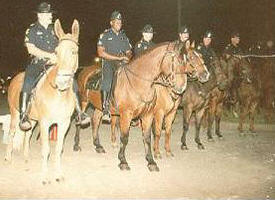 DALLAS POLICE MOUNTED PATROL