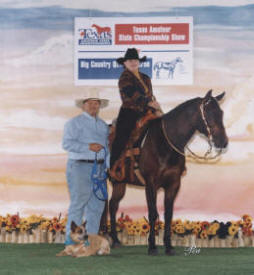 Sue shows her Quarter Horse in Amateur Trail, Reining, Western Riding, Horsemanship and Showmanship.