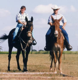 Jim & Sue love to trail ride.