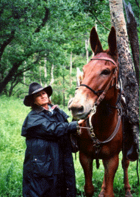 Copper owned by Sharon Root