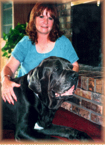Kingswood's Luca Bracci, Neopolaton Mastiff owned by Sue King for ten years.  He guarded his home, his owners, his barn with generous spirit and great discretion.  