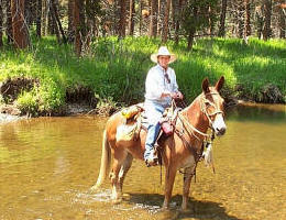 PAM SCHEIFER WHO SAID SHE'D NEVER RIDE A MULE